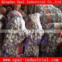 5kg New Crop 2018 Packing Normal&Pure White Fresh Garlic