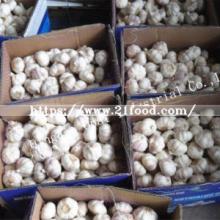 2018 New Crop Chinese Normal White Fresh Garlic