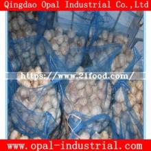 Mesh Bag Packing 4. 5  cm   5 .  Cm  Red Normal White Fresh  Garlic 