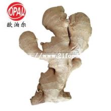 Export Standard Chinese Low Price Fresh Air-Dry Dried Ginger