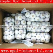 Chinese New Crop Fresh Single Solo Garlic