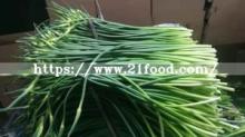500g Bundles New Crop Fresh Garlic Bolt Stem Sprout