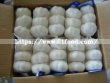 2016 New Crop Chinese Fresh Garlic