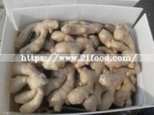 Good Quality Air-Dried Ginger with  Gap  Certificate
