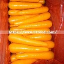 Fresh Natural Carrot with Export Standard