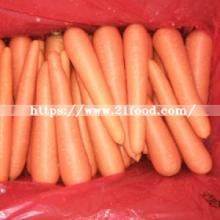 2017 New Crop Grade S/ M/ L /2L/3L Chinese Fresh Carrot
