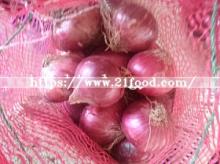 New Crop Fresh Red Onion