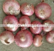 Good Quality Fresh New Crop Red Onion