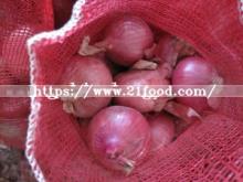 New Crop Fresh Red Onion with Good Shape