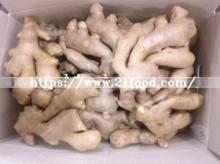 High Quality Whole Air Dry Ginger