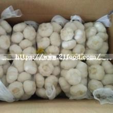 Chinese New Crop Pure White Garlic with Gap Certificate