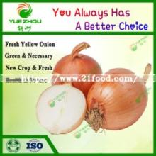 Top Quality Fresh Onion New Crop Yellow Onion From Shandong for Sale