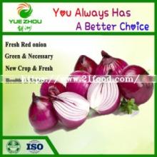 Supplier of Onion Natural China New Crop Red Onion with Good Price