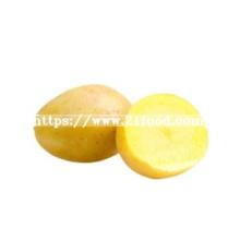 Chinese Organic and Healthy Feature Fresh Vegetable Potatoes with Top Grade
