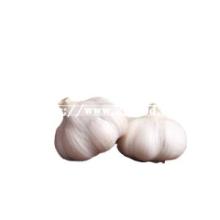Factory Direct Natural Garlic