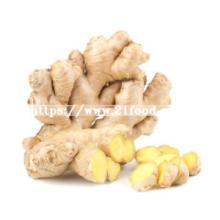 Chinese Fresh Ginger Price Wholesales