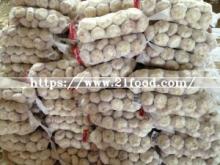 Fresh  Normal   White   Garlic   From   China 