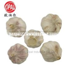 2018 China Fresh Normal Pure  White   Garlic   New   Crop  with Cheap Price