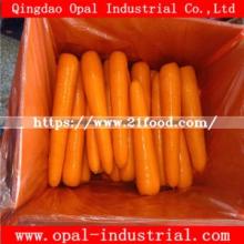 Good Quality 80-150g S Size New Crop Fresh Orange Red Yellow Carrot