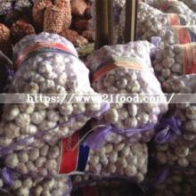 2018 New Crop Fresh Normal Pure White Garlic Vegetable