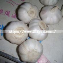 4.5cm-5.5cm Mixed Specification Fresh Normal/Pure White Garlic Vegetable