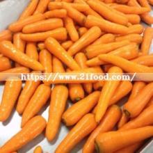 Fujian Chinese New Crop Red Fresh Carrot