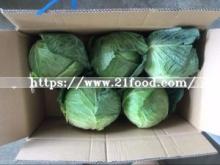 Wholsale of Chinese Fresh Long White Green Celery Cabbage