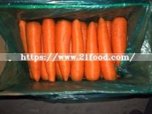 Low Price of Chinese New Crop Red Fresh Carrot