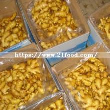 Supplier of Chinese Yellow Fresh Vegetable Fresh Ginger Dried Ginger