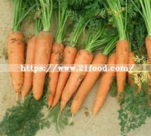 New Crop Chinese Vegetable Red Orange Yellow Fresh Carrot