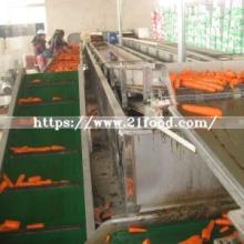 Low Price Chinese New Crop Red Fresh Carrot