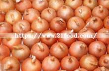 Best Quality Chinese Carton Fresh Yellow Onion