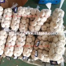 Good Quality 2018 New Crop Chinese Normal/Pure White Fresh Garlic