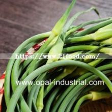 Garlic Stem Supplier