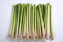 FRESH   LEMON   GRASS 