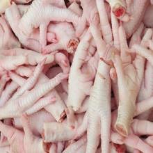 Halal Clean Halal Frozen Chicken Feet And Paw