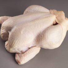 Halal frozen whole chicken
