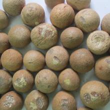 Premium Quality Organic  Betel  Nuts Whole at Best Price