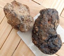 Hyraceum