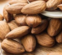 Almond Bitter Essential Oil