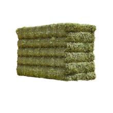 Alfalfa Hay Bales