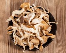 Premium Quality Nutrious Dried Grey  Oyster   Mushroom 