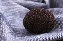 Fresh Matsutake Mushroom Dried Truffle