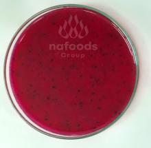 Frozen red dragonfruit puree with seed