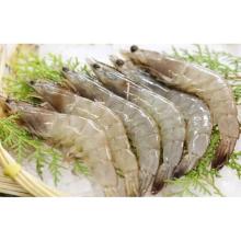 Vannamei Shrimp