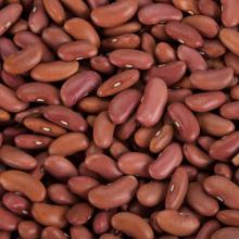 Kidney beans