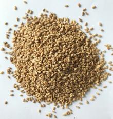 Roasted sesame seeds