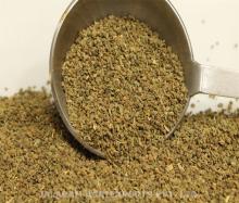  Celery   Seeds 