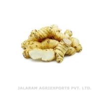 Galangal   Root s