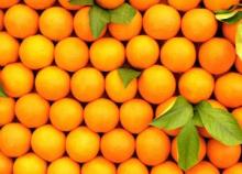 Orange & Kinnow